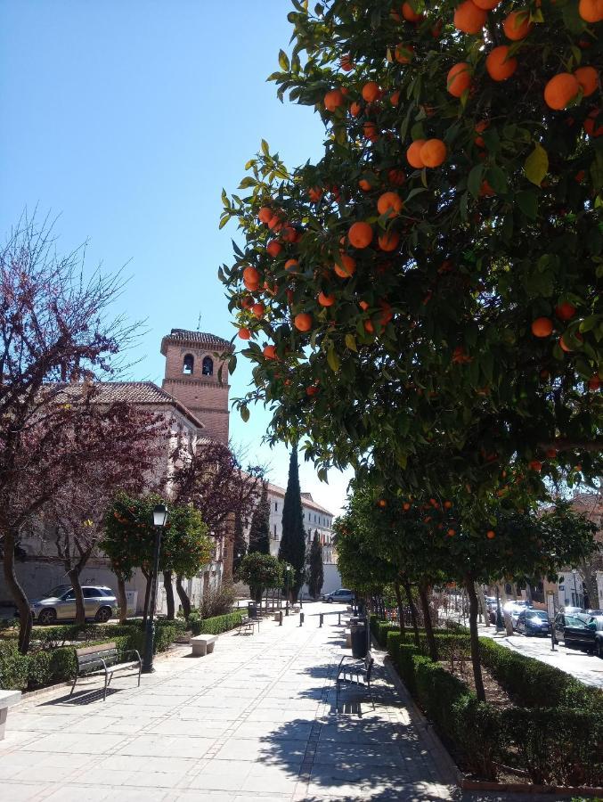 Apartamento Cueva La Taracea Daire Granada Dış mekan fotoğraf